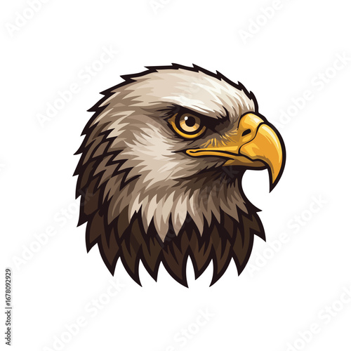 Detailed illustration of an eagle head with sharp eyes and a golden beak.