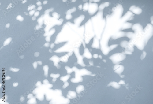 Light and shadow, showcasing the dappled sunlight filtered through palm fronds onto a textured, light-colored surface. Natural leaf shadows on white wall for background design for text.	