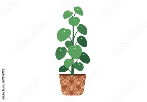 A tall potted chinese money plant with round green leaves growing in a decorative brown pot
