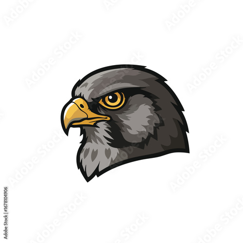 Detailed illustration of a falcon head with sharp beak and intense gaze, isolated on white.