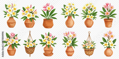 A charming collection of watercolor plumeria flowers arranged in various terracotta pots, vases, and hanging baskets.