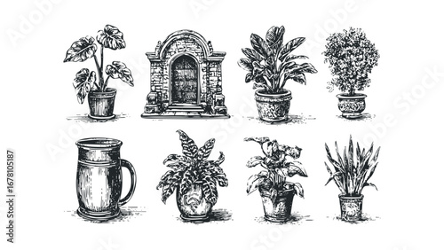 Collection of potted plants and architectural structure in sketch style. Vector hand drawn illustration