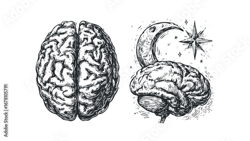 Intricate Engraved Human Brain with Celestial Moon and Star Symbols. Vector hand drawn illustration
