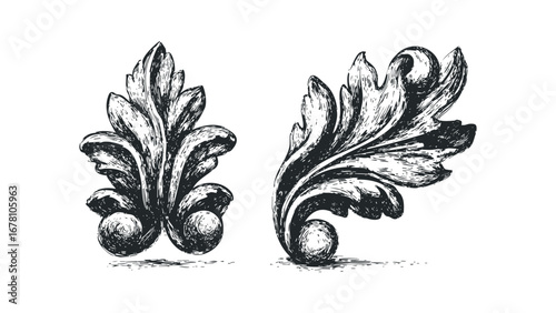 Ornamental scrollwork leaf shapes with subtle shading on a transparent background. Vector hand drawn illustration