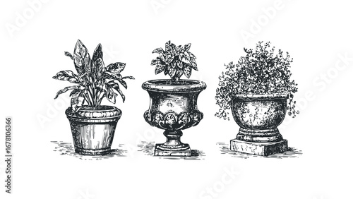 Sketch of potted plants in urns and planters. Vector hand drawn illustration