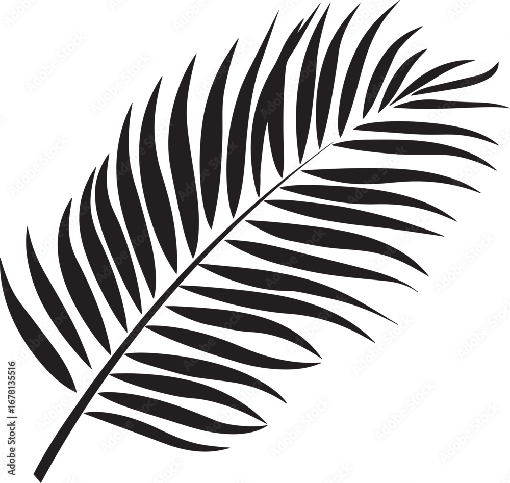 Fototapeta premium Coconut Palm Leaf icon clean simple linear