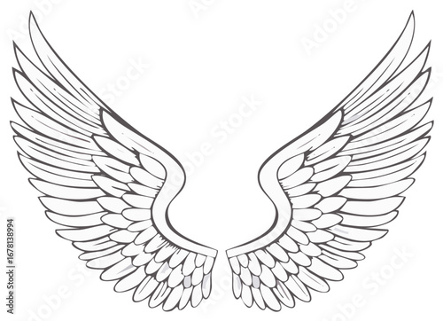 Detailed Illustration of Angel Wings in Black and White, Symbol of Freedom