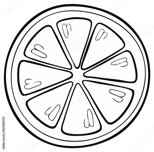 Circular citrus fruit segment graphic illustration, simple black outline, white filling. Great for summertime and healthy eating.