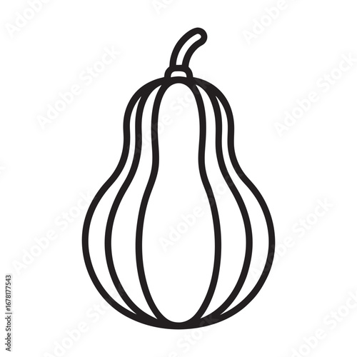 Green Squash Vector