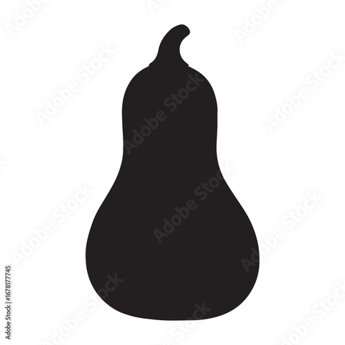 Squash Flat Design Vector