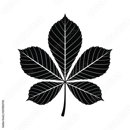 Horse Chestnut Leaf Silhouette Illustration in Detailed Style for Botanical Designs