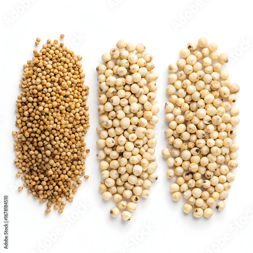 A detailed close-up image showing isolated sorghum grains carefully and neatly arranged,