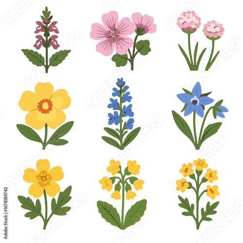 Cowslip wild hedge set woundwort icon buttercup vector wildflowers bugloss sea blooms