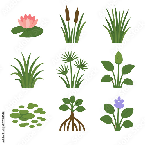Duckweed icons lily reeds vegetation cattail flowers sedge layers swamp icon vector
