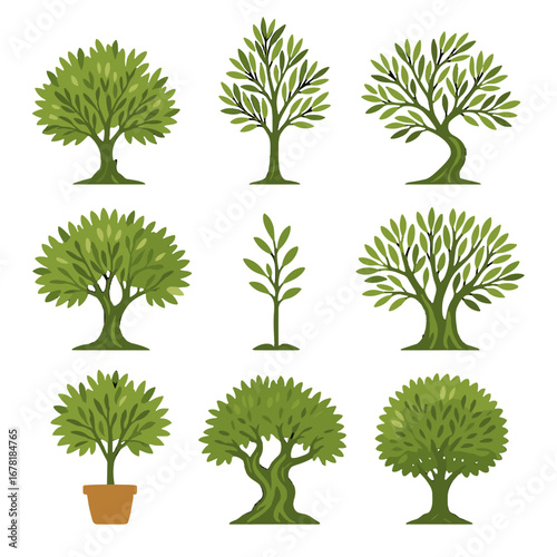 Branching tree bushy aged olive pruned vector tall icon vectors leaning