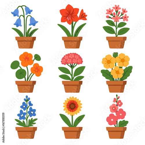 Nasturtium flower pot primrose icon potted hollyhock vector bluebell bouvardia sedum amaryllis