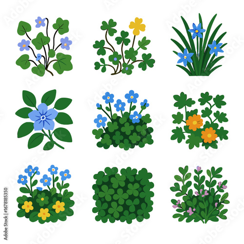 Clover groundcover vector creeping blue vectors speedwell dwarf grass oxalis icon marigold