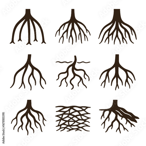 Icon splayed stems vector layered mesh mangrove roots thick exposed spiraling