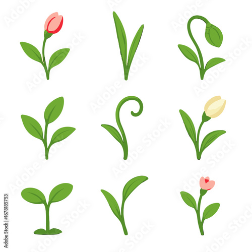 Icon vector sprouts tall curves growth upward buds floral garden array