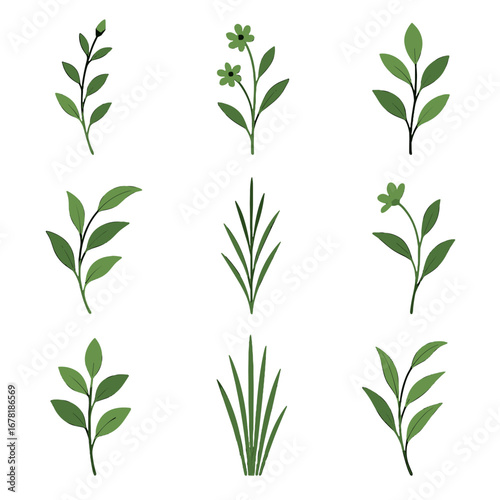 Vector botanical growth leaf floral stems delicate icon grid leafy curved