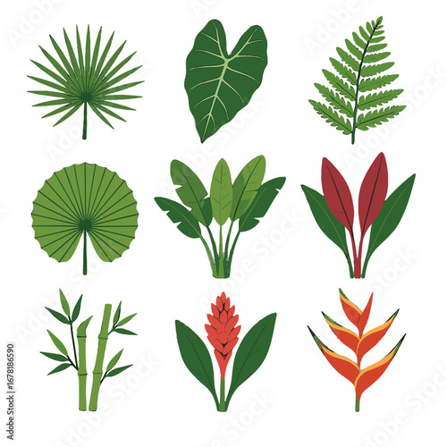 Ginger vector bamboo palm icon set jungle flowers leaves red blooms
