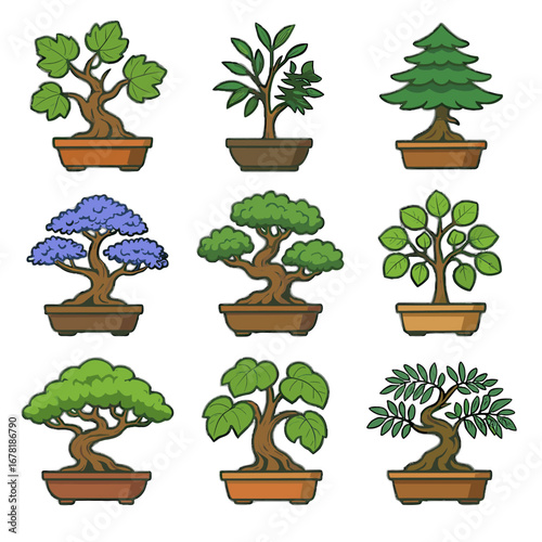 Icon tea vector fig oak tree cedar dwarf jacaranda collection acacia bonsai