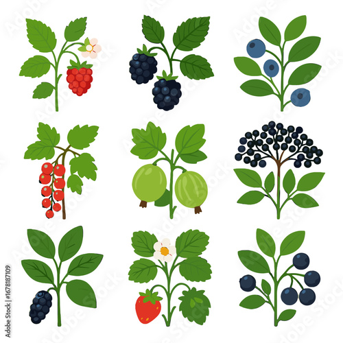 Fruit blueberry sprouts berry mulberry grid bushes gooseberry plants vector icon tree