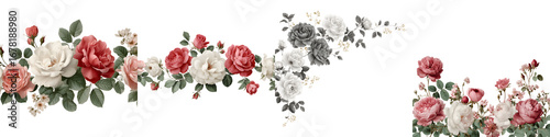 Elegant Floral Border Collection on White Background