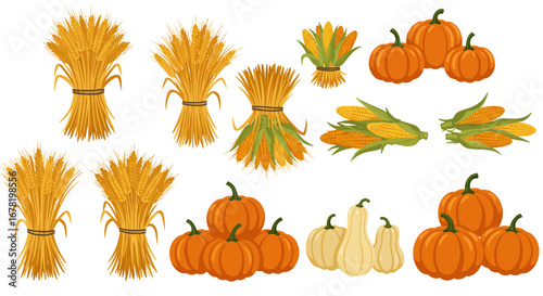 An illustration showing pumpkins sheaves of wheat  corn