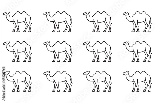 Camel doodle and silhouette vector set for travel and wildlife graphic design