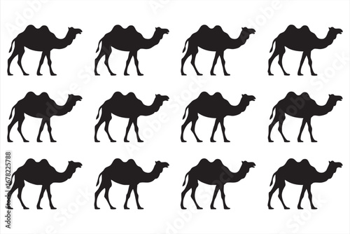 Camel vector pack with outline drawings and black silhouettes for wildlife design