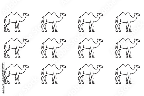 Camel line art and silhouette set for cultural desert and safari illustrations