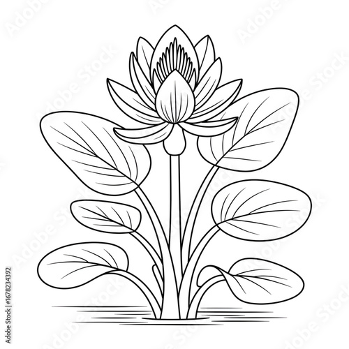 A water hyacinth flower illustration vector style coloring page