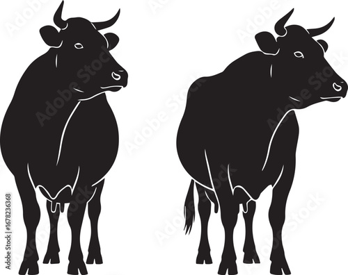 cute black and white cows vector