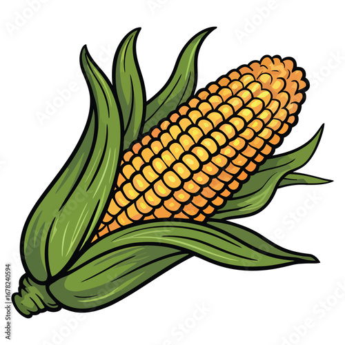 corn cobs isolated on white
