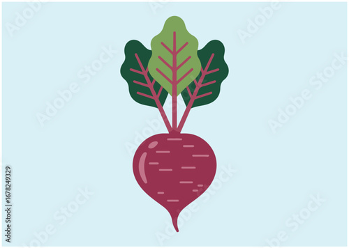 Beet icon, Beet vector