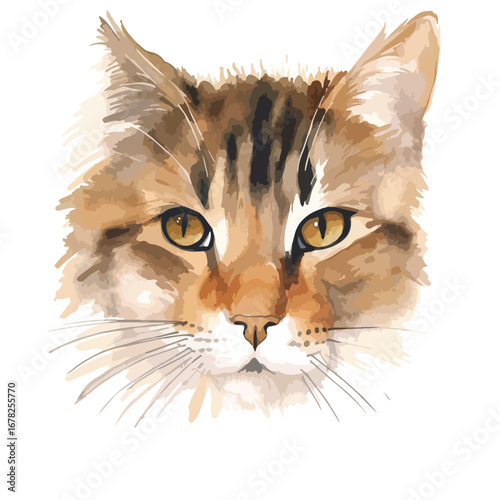Closeup Artistic Portrait of a Tabby Cat (1)