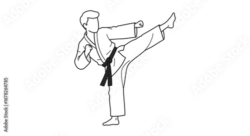 Karate Martial Arts High Kick Illustration