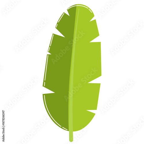Illustration of a slim tropical banana leaf, simple green foliage design for botany, eco decoration, and natural themes.