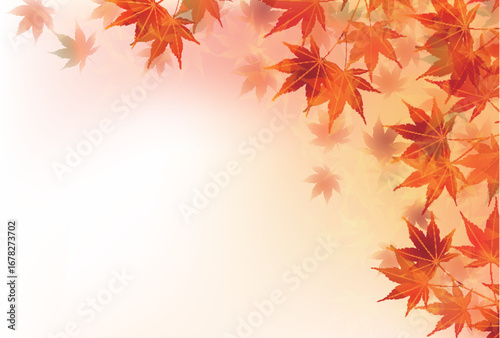 紅葉　もみじ　秋　背景	