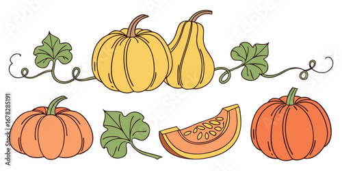 Vibrant autumn harvest pumpkins and gourds with swirling vines and leaves create a charming seasonal decorative element
