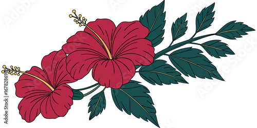 Vibrant hibiscus blooms with lush green leaves create a tropical floral flourish perfect for summer designs