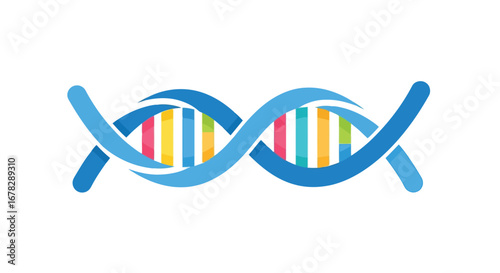 Stylized double helix dna strand with colorful base pairs
