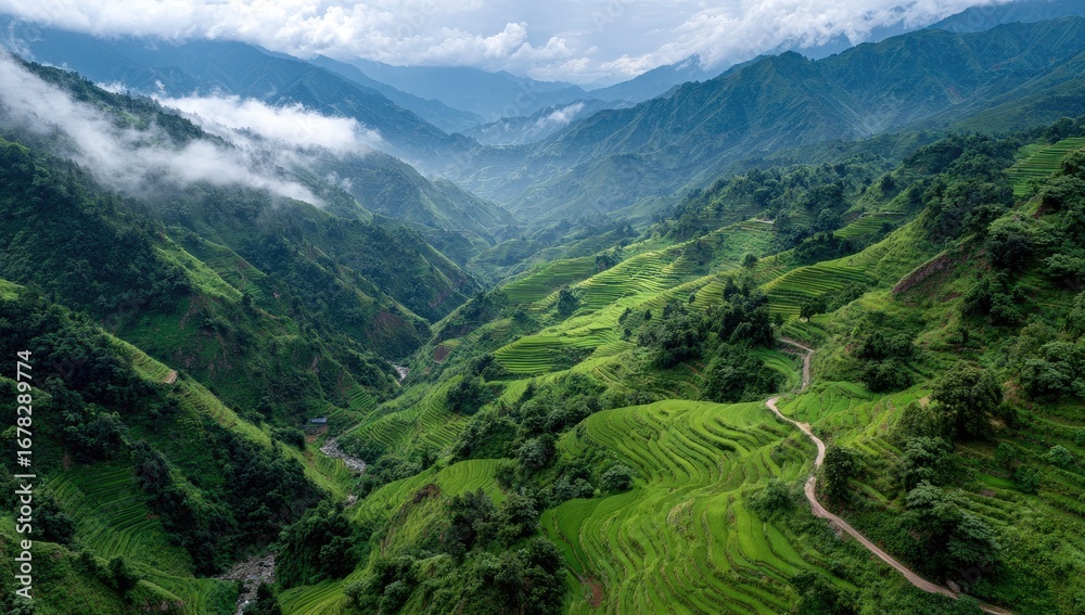 Fototapeta premium Lush valley with terraced rice paddies