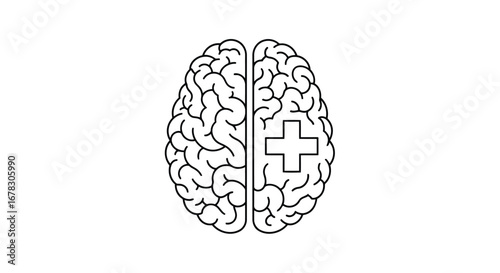 Brain with a plus sign