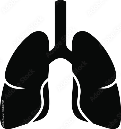 Simple black silhouette of human lungs, trachea, and bronchi.