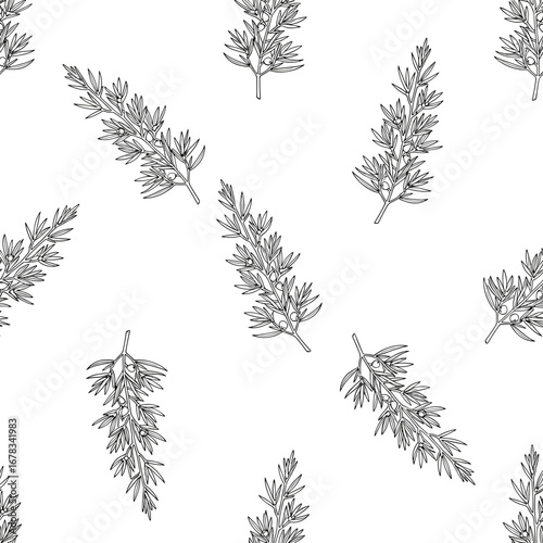 Elegant hand drawn botanical illustration of rosemary sprigs in a seamless repeating pattern design