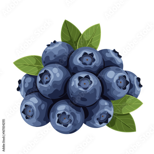 A fresh bunch of ripe blueberries with green leaves illustration