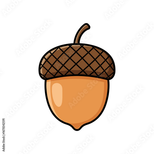 Illustrative representation of a single acorn featuring a brown textured cap and a smooth orange nut on a white background