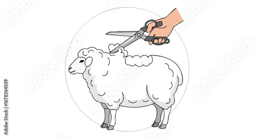 Stylized illustration of sheep shearing by hand, showcasing the process of removing wool with scissors inside a circle frame, isolated on white